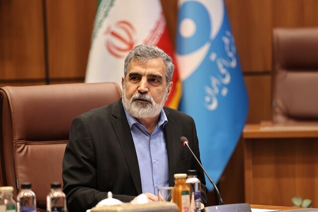 معاون سازمان انرژی اتمی ایران: استفاده از فناوری هسته‌ای صلح‌آمیز و بدون هیچ‌گونه تبعیض نسبت به سایر کشور‌ها برای ما در اولویت است / کشور‌هایی نظیر هلند، بلژیک، کره جنوبی، برزیل و ژاپن نیز بدون اینکه سلاح هسته‌ای داشته باشند، غنی‌سازی انجام می‌دهند