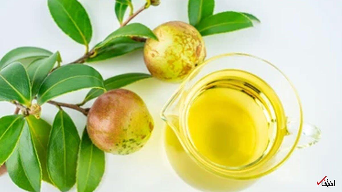 ۵ فایده شگفت‌انگیز روغن کاملیا برای سلامت موها
