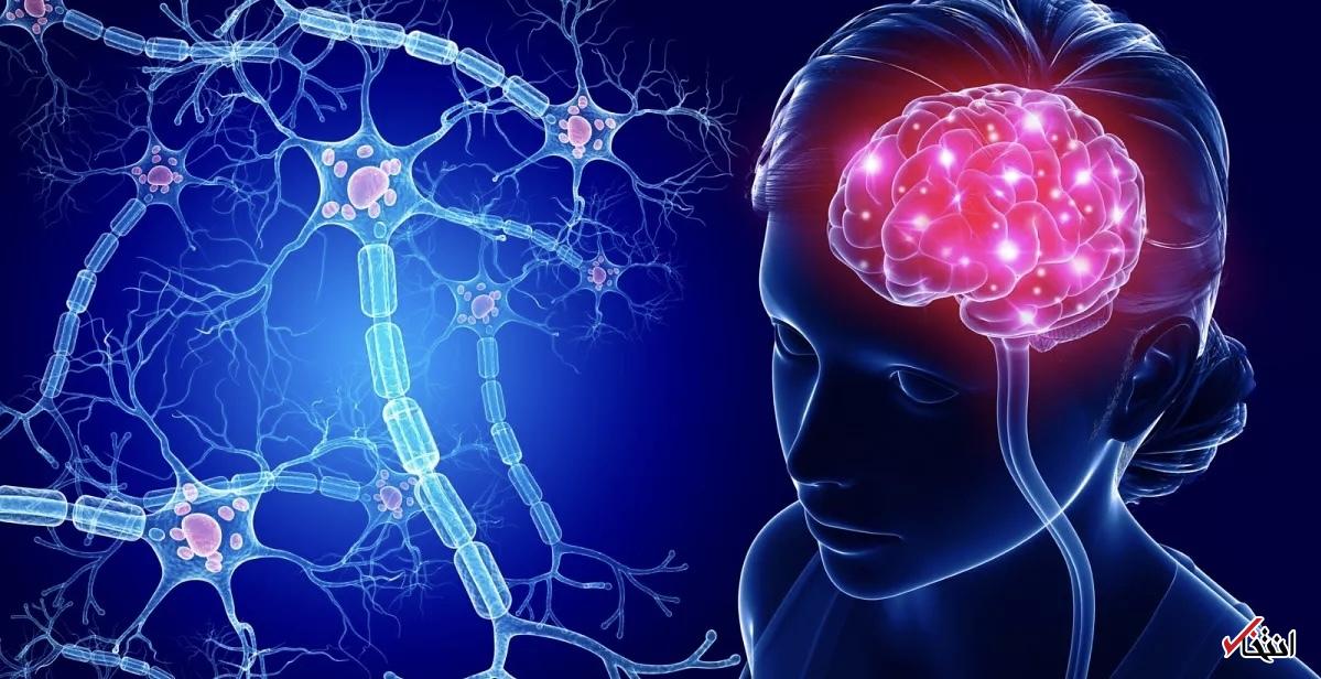 آیا بالا رفتن از پله‌ها می‌تواند برای مغزتان مفید باشد؟