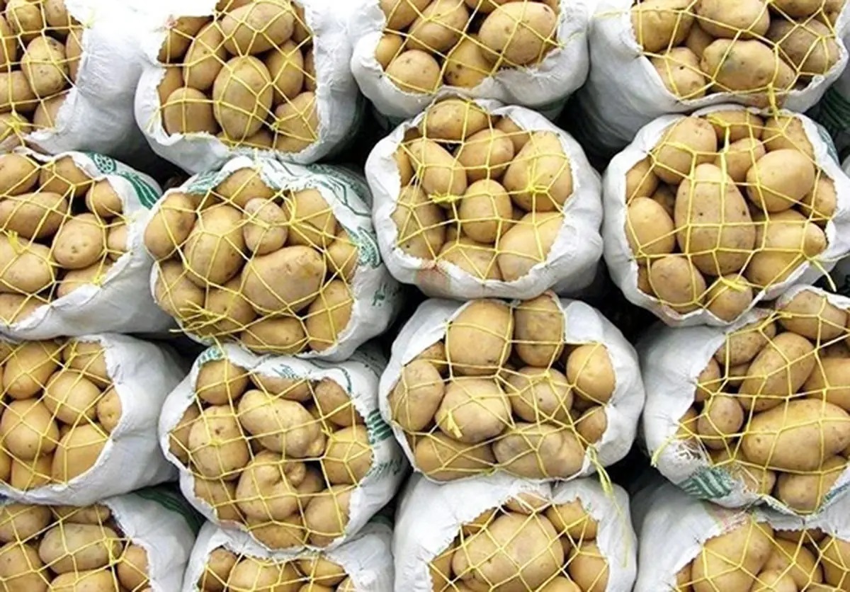 کاهش قیمت سیب‌زمینی و پیاز در بازار / وزارت کشاورزی: قیمت سیب‌زمینی و پیاز در مزارع بین ۷ تا ۱۲ هزار تومان تثبیت شده