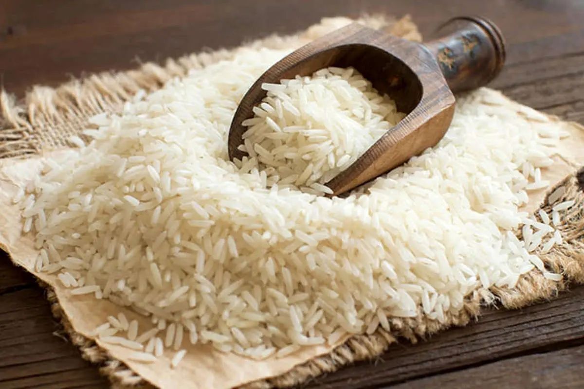 تسنیم: پیش‌بینی افت شدید تولید برنج با توجه به شرایط خشکسالی در سال جاری/ شاید تولید در مقایسه با سال قبل ۷۰۰ تا ۹۰۰ هزار تن کاهش یابد