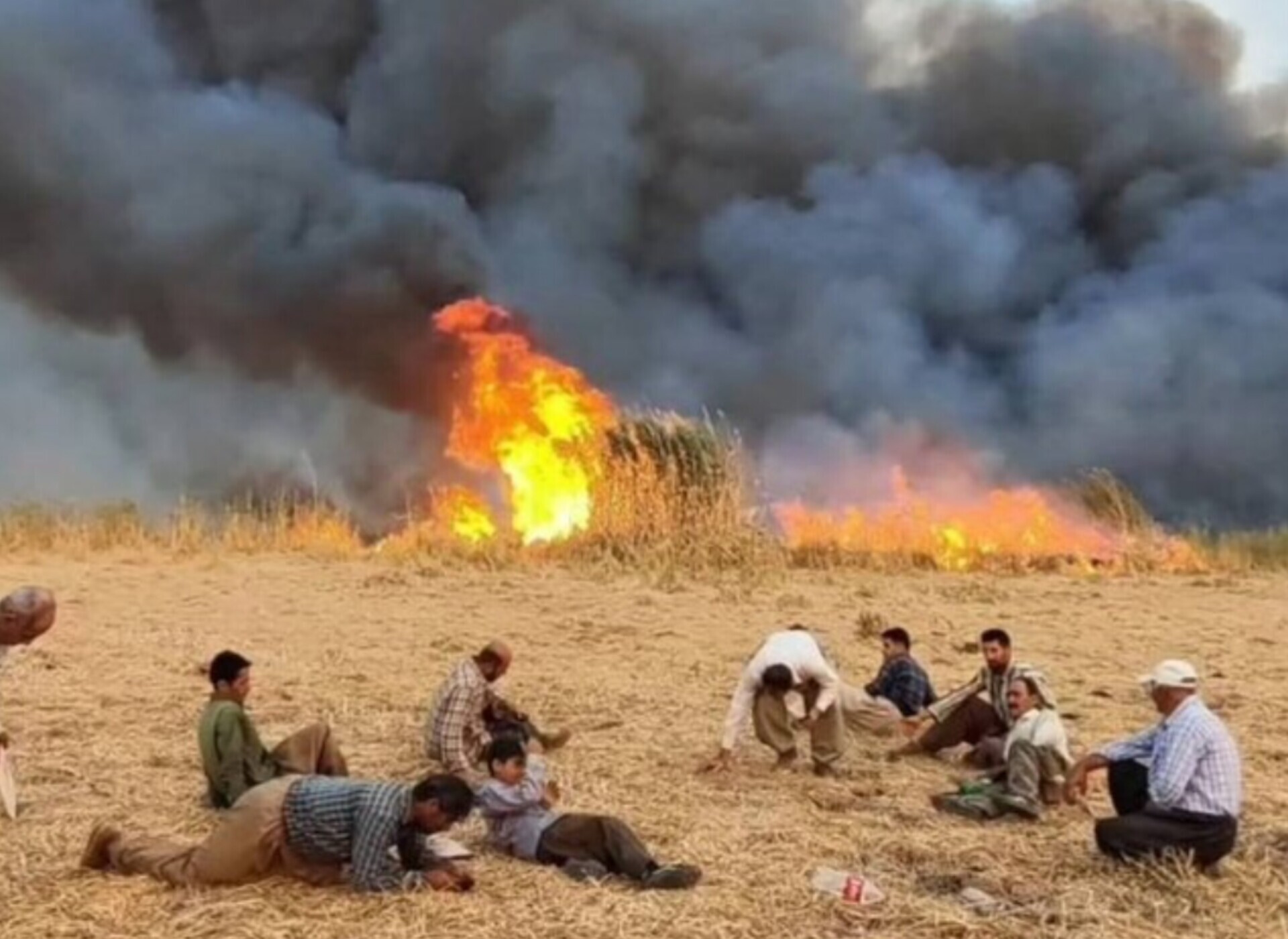 محیط‌زیست: مهار آتش‌سوزی در تالاب گروس مهاباد