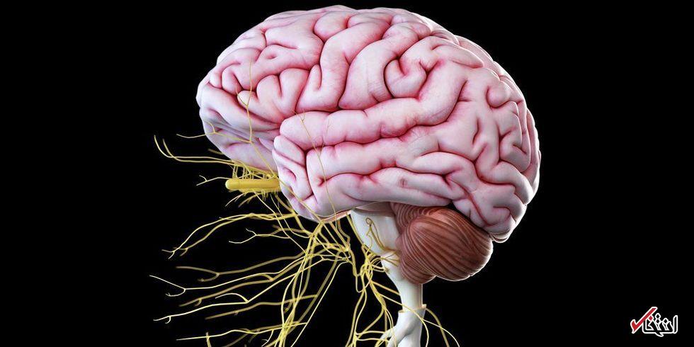 تنفس هوای آلوده می‌تواند خطر یک بیماری فلج‌کننده‌ی مغزی را بیشتر کند
