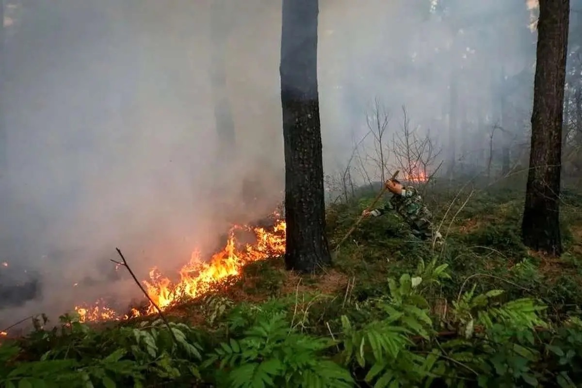 آتش‌سوزی در جنگل‌های صعب‌العبور چالوس / تلاش‌ها برای اطفای حریق ادامه دارد