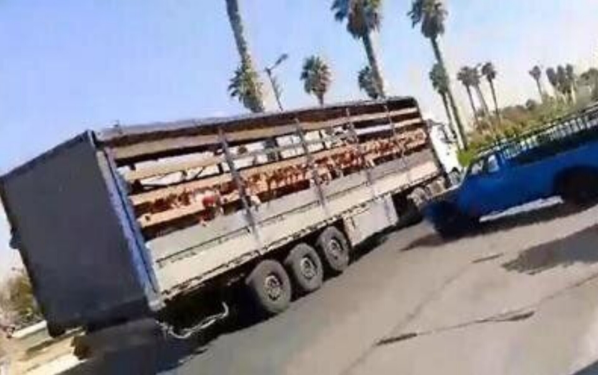 مدیر مدرسه غیر دولتی در جهرم که اقدام به جابه‌جایی دانش‌آموزان با کامیون حمل دام کرده بود، برکنار شد