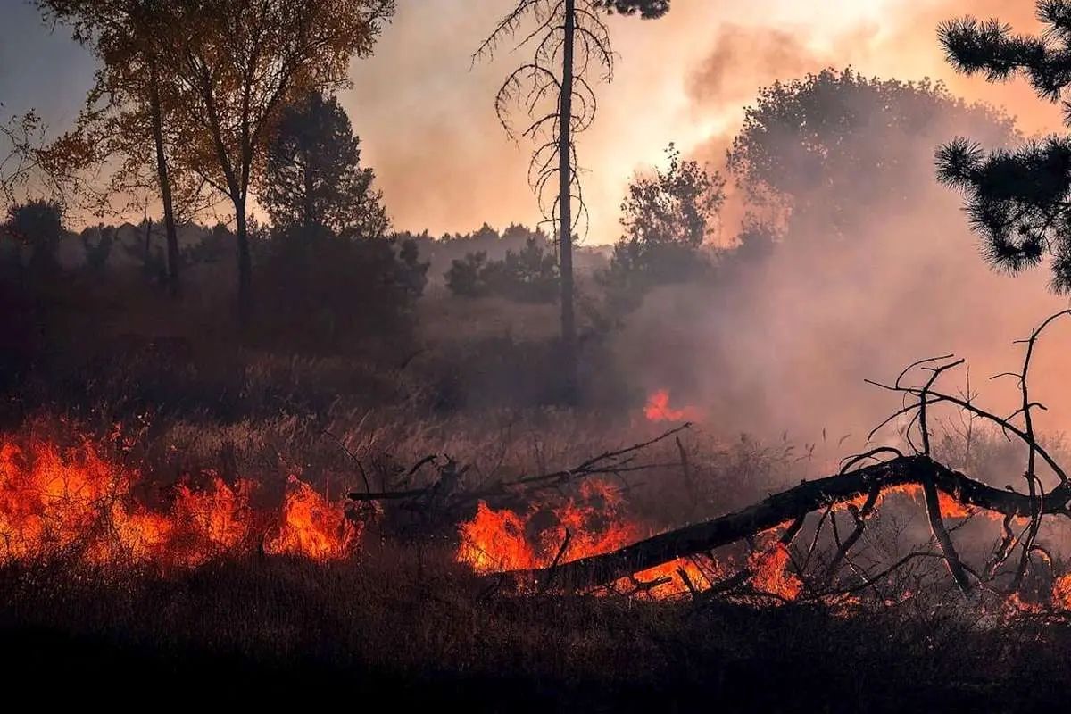هیرکانی انبار باروت است؛ طبیعت گردی در مازندران تا اطلاع بعدی، ممنوع