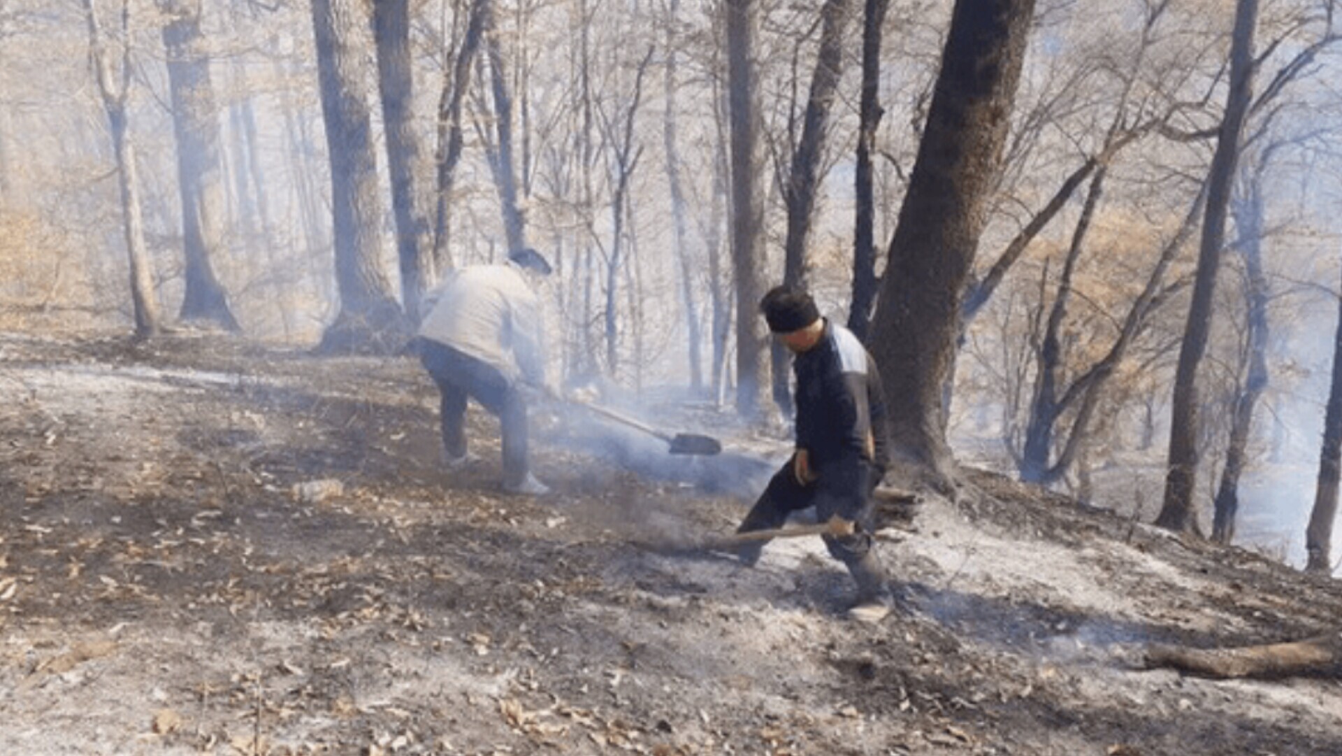 استانداری: پایان آتش‌سوزی در جنگل‌های گلستان/ در سال جاری ۴۰ درصد کاهش بارش‌ داشتیم؛ این امر در کنار خطای انسانی سبب شد تا در هفت شهرستان استان، حریق در جنگل‌ها اتفاق بیفتد
