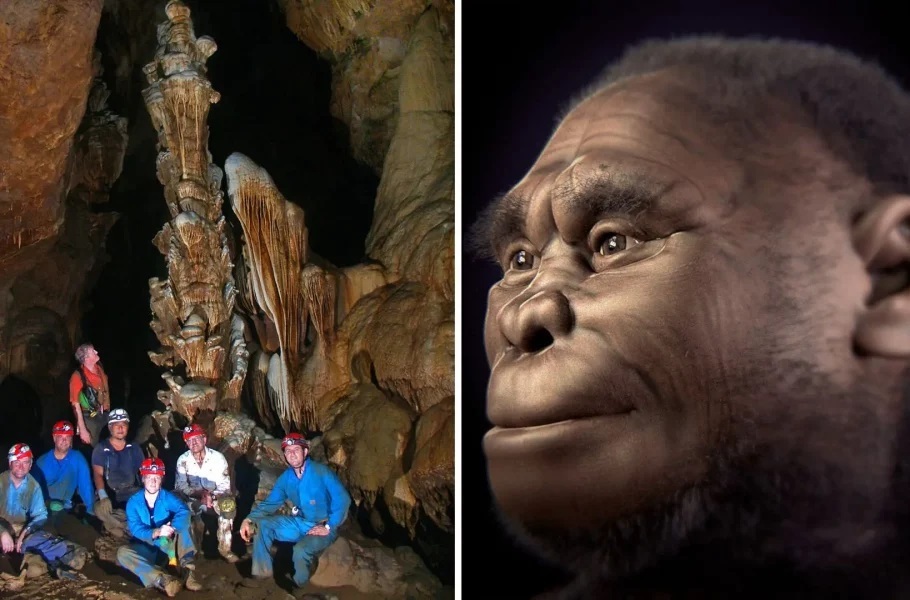 محققان: هابیت‌ها ۶۱ هزار سال پیش بر اثر خشکسالی به‌سمت انقراض رفتند