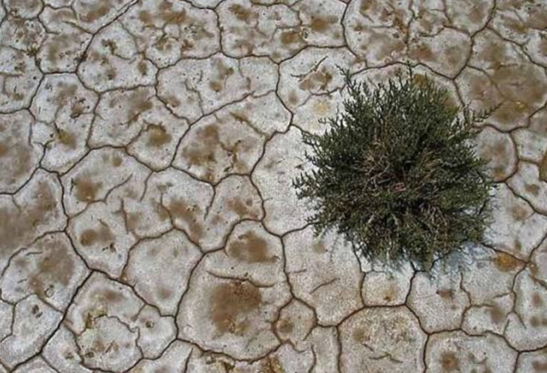 معاون وزیر کشاورزی: اراضی شور کشور به ۱۰ و نیم میلیون هکتار رسیده/ در انتهای رود کارون، چون منابع آبی کم شده، غلظت شوری افزایش یافته